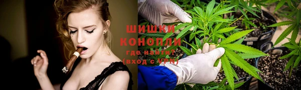 шишки Балахна