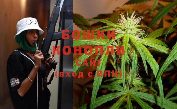 шишки Балахна