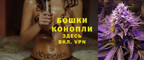 шишки Балахна