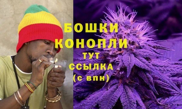 шишки Балахна