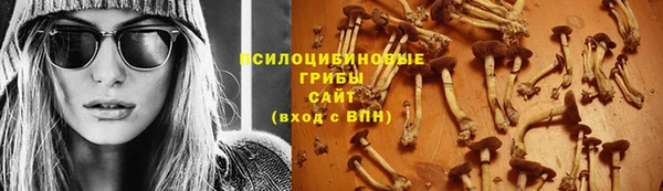 шишки Балахна