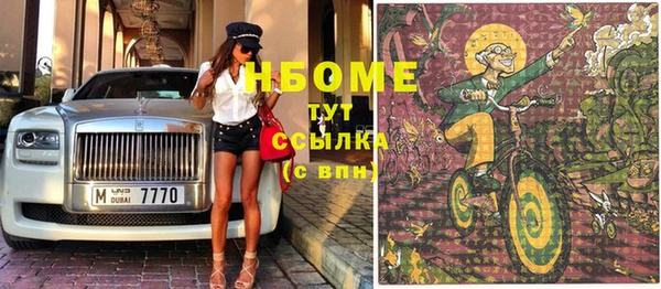 шишки Балахна